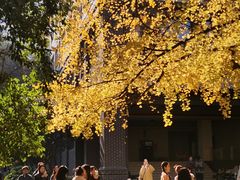 -四川大学(华西校区)