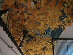 -食悦江南·淮扬菜·烤鸭(亚运村·惠新店)