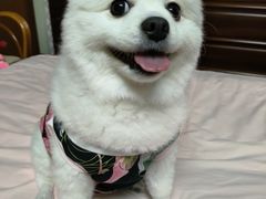 -申普宠物医院·眼科·心内科·影像科(普陀分院)
