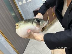 -鲐赏河豚(长寿店)