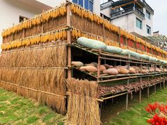 -新安江山水画廊风景区