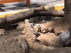 -北京野生动物园