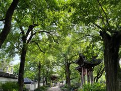 -汇龙潭