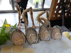 九节虾-辉哥火锅(虹桥路店)