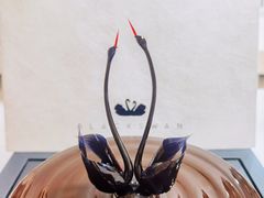 -BLACKSWAN黑天鹅(环球店)