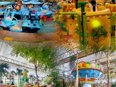 -南宫五洲植物乐园