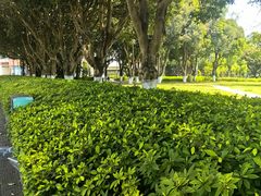 -厦门大学(思明校区)