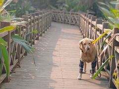 -桤木河湿地公园