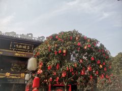 -川西坝子火锅(金沙1.0直营店)
