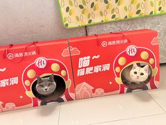 -海底捞火锅(江宸天街店)