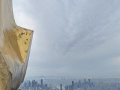 -大金鹰园