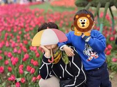 -石家庄市植物园