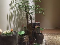 -汤臣海派理疗公馆