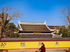 -上海东林寺(金山区)