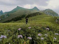 -秦岭风景区