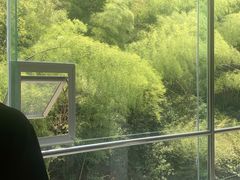 -江南大峡谷漂流