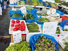 -上海龙吴水胜海发市场