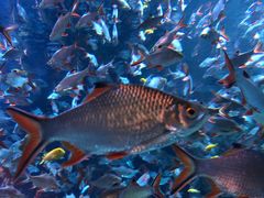 -成都浩海立方海洋公园