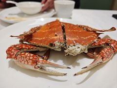 -北塘海鲜·天津菜(大光明桥旗舰店)
