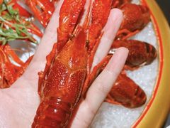 -虾乐园龙虾·夜宵(松江店)