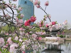 -无锡蠡湖国家湿地公园-蠡园