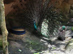 -青青世界