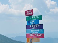 -白草畔自然风景区