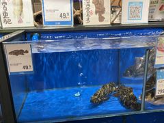 -盒马鲜生(曜一城店)