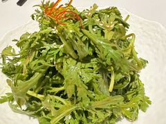 -南麓·浙里(外滩店)