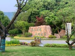 -惠山国家森林公园