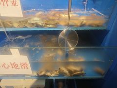 -宽城子美蛙毛肚自助火锅(建邺万达步行街店)