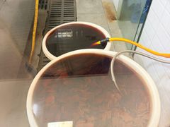 -蒋家肠旺面馆老店(合群路店)