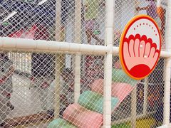 -大润发(勤业店)