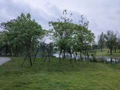 -两河城市森林公园