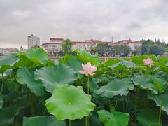 -南通濠河风景名胜区