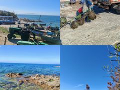 -养马岛旅游度假区