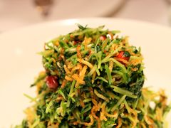 巧拌豆苗-四季民福烤鸭店(王府井灯市口店)