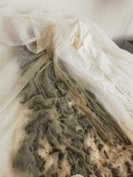 -姜美堂·蒸姜除湿の纤体美颜馆