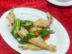 -蛇口康乐快餐鱼仔档(翠苑小区店)