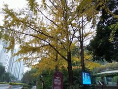 -成都市活水公园