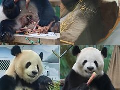 -无锡动物园·太湖欢乐园