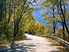 -叠溪松坪沟景区