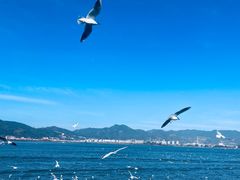 -海埂大坝