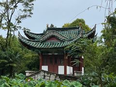 -庾园