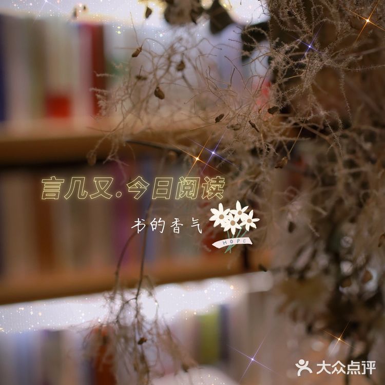 那是书里的香气啊,如同春日的樱花一样