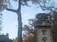 -灵谷景区