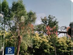 -聊城动物园