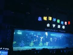 -泉城欧乐堡海洋极地世界