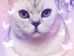 -宠颐生中康贝怡动物医院