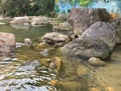 -广州白江湖森林公园